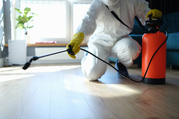 Reliable Trauma Scene Cleanup contractor in Hollywood, FL by Trauma Clean Pros